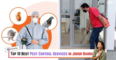 exterminator east brunswick nj|Top 10 Best pest control services Near East Brunswick, New。